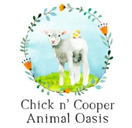 Chick n' Cooper Animal Oasis
